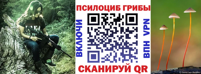 как найти наркотики  Снежногорск  Галлюциногенные грибы мухоморы 