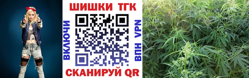 Бошки марихуана SATIVA & INDICA  купить   Снежногорск 